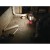 M12 Lampa LED 4932430562 - techniktools