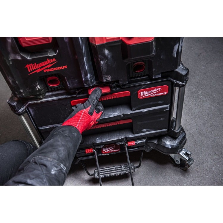Skrzynia PACKOUT z 2 szufladami 4932472129 - techniktools
