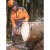 M18F2CHS50-0 Pilarka łań. na 2 aku. 50cm 4933480120 - techniktools