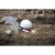 L4 FMHL2LED 4933499300 - techniktools